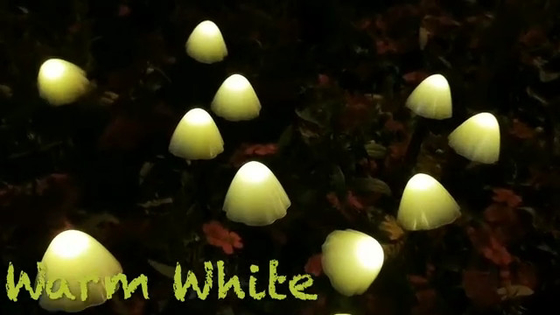 las luces accionadas solares de la secuencia de 2700K IP55 LED/proliferan rápidamente las luces solares del jardín que se casan la decoración festiva