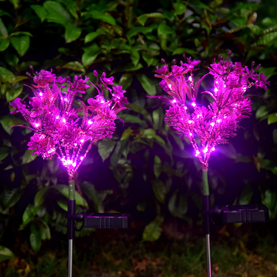El jardín solar del Phalaenopsis LED enciende pequeños Wildflowers ajardina la luz del césped del jardín